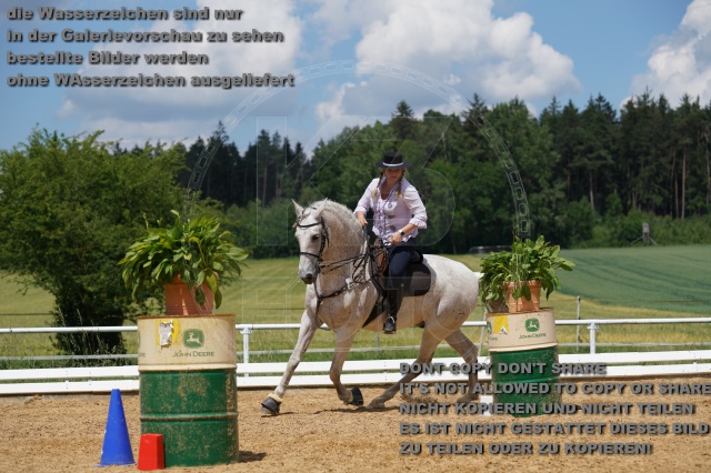 s_K3F06199.JPG
